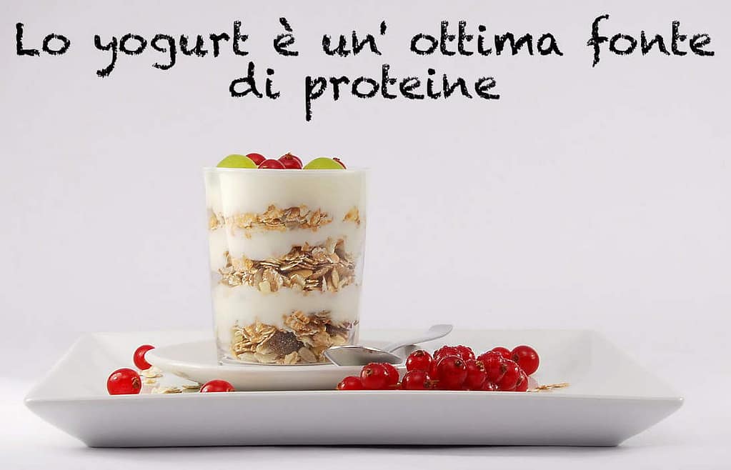 lo yogurt è un' ottima fonte di proteine