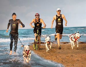 Scopri di più sull'articolo Triathlon con il cane? Perché no!