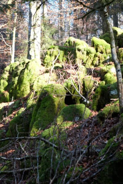 trail 